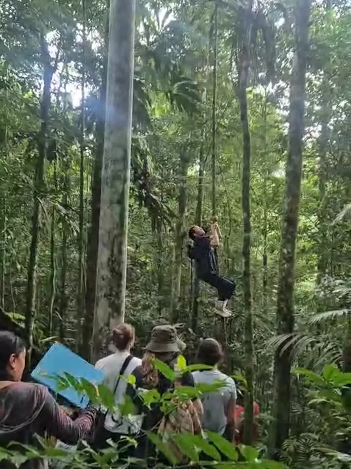Grupo de visitantes observando un mono en el dosel de la selva